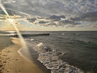 ������� ��������� ���������� ����